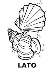 Two summer seashells coloring book